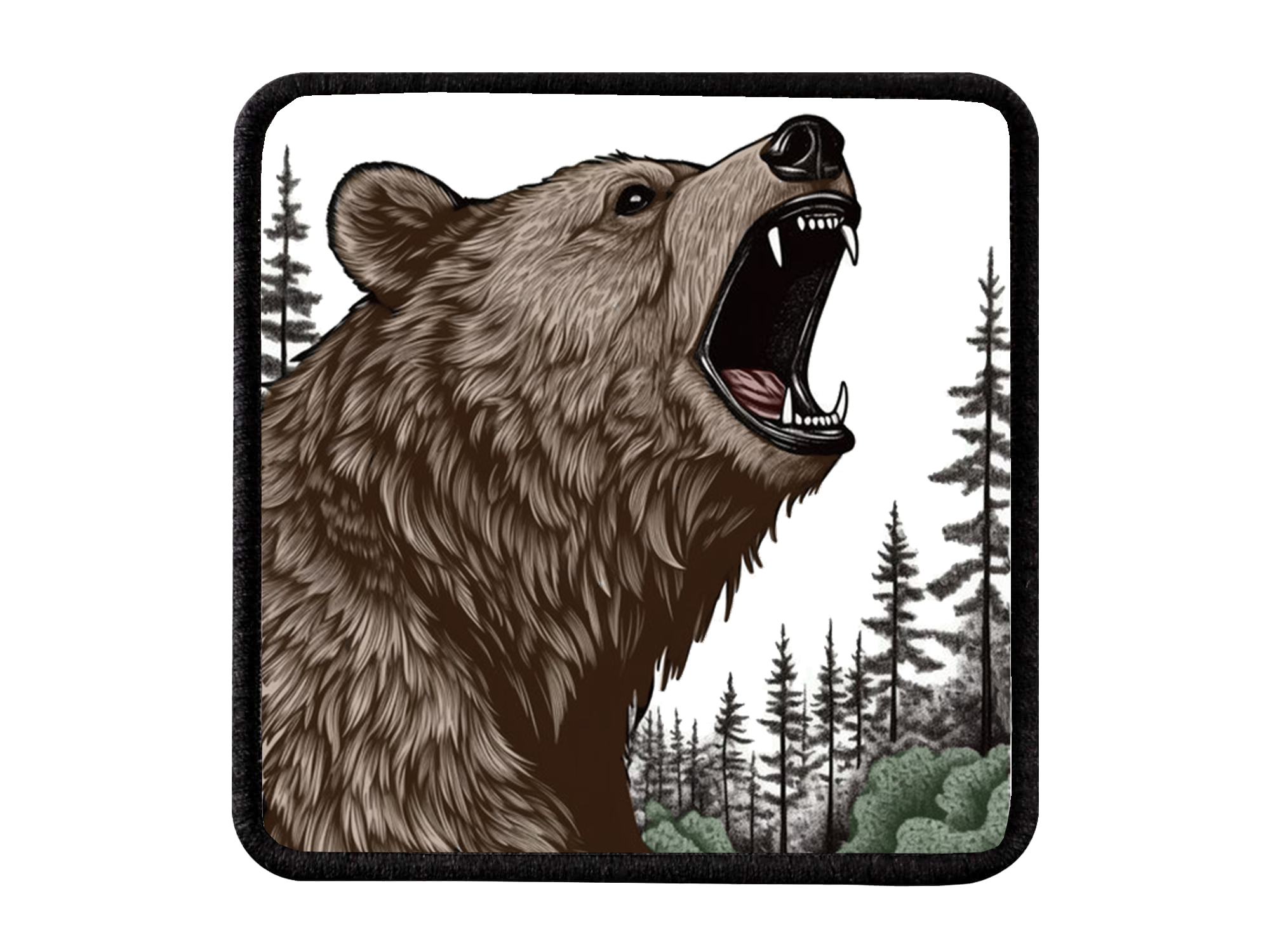 "BEAR" Logo